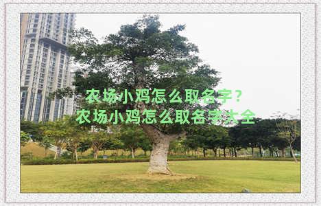 农场小鸡怎么取名字？农场小鸡怎么取名字大全