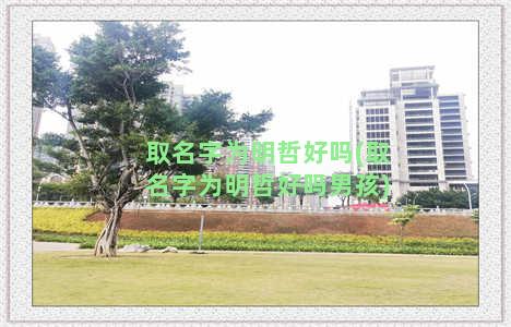 取名字为明哲好吗(取名字为明哲好吗男孩)