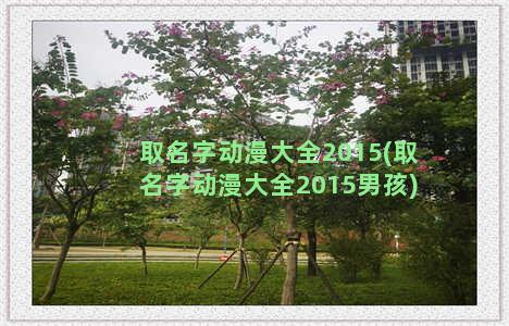 取名字动漫大全2015(取名字动漫大全2015男孩)