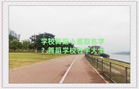 学校舞蹈小组取名字？舞蹈学校名字大全