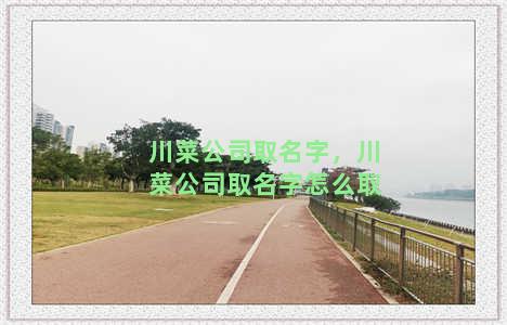 川菜公司取名字，川菜公司取名字怎么取