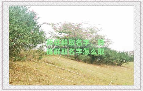 师徒群取名字，师徒群取名字怎么取