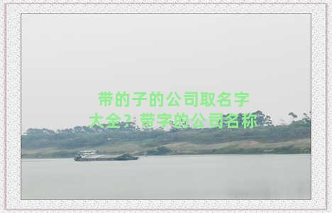 带的子的公司取名字大全？带字的公司名称