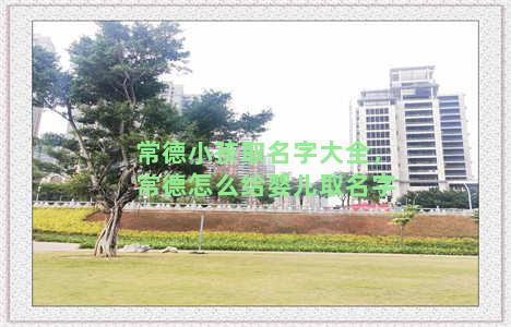 常德小孩取名字大全，常德怎么给婴儿取名字