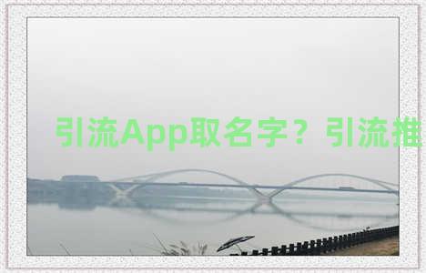 引流App取名字？引流推荐软件