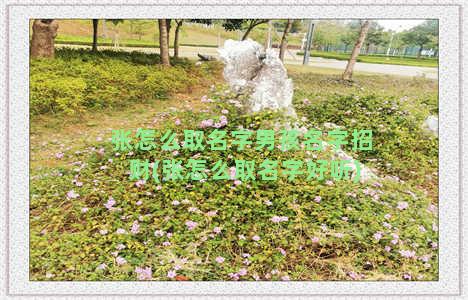 张怎么取名字男孩名字招财(张怎么取名字好听)