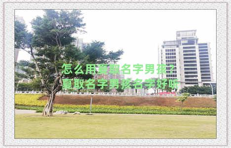 怎么用夏取名字男孩？夏取名字男孩名字好听