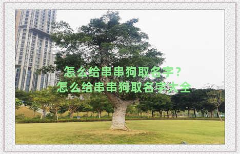 怎么给串串狗取名字？怎么给串串狗取名字大全