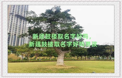 新建鼓楼取名字好吗，新建鼓楼取名字好吗男孩