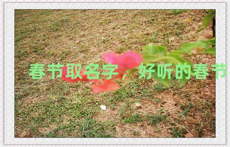 春节取名字，好听的春节名字