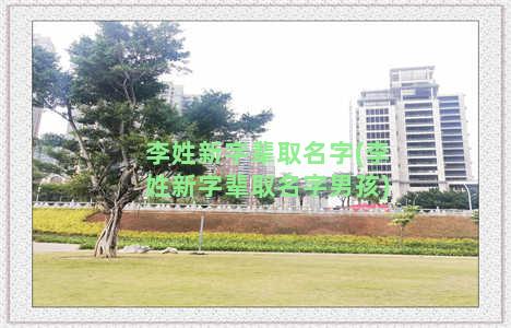 李姓新字辈取名字(李姓新字辈取名字男孩)