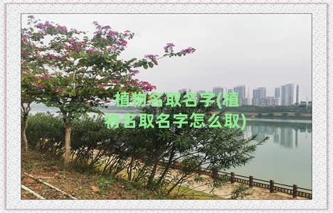 植物名取名字(植物名取名字怎么取)