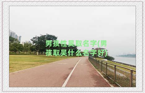 男孩性吴取名字(男孩取吴什么名字好)