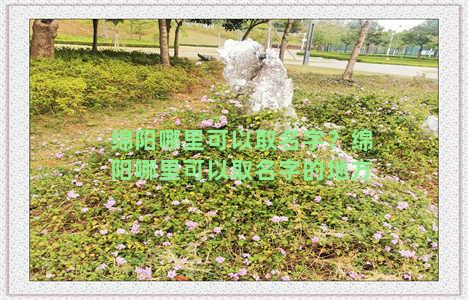 绵阳哪里可以取名字？绵阳哪里可以取名字的地方