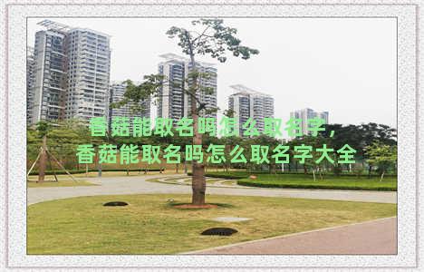 香菇能取名吗怎么取名字，香菇能取名吗怎么取名字大全