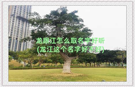 龙跟江怎么取名字好听(龙江这个名字好不好)